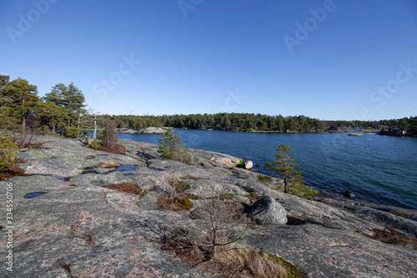 Obraz Alone by the sea.