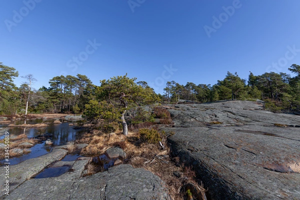 Obraz Relaxing view.