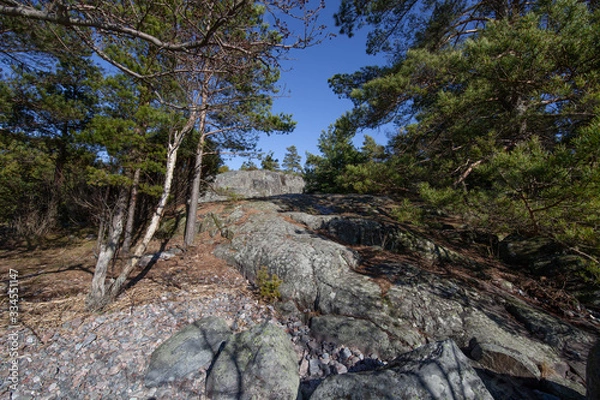 Obraz Rocky path in the forest.