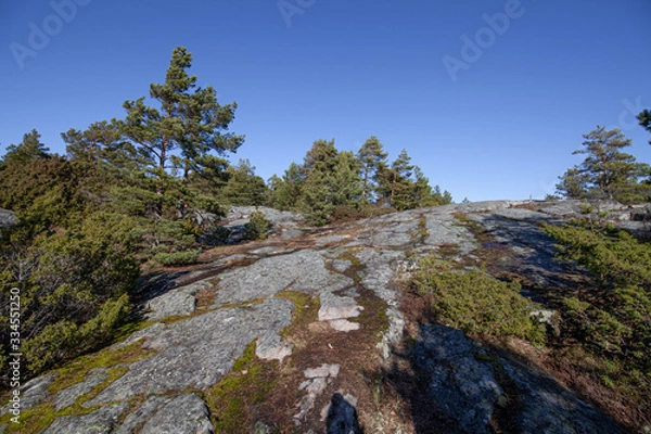 Obraz Rocky nature trail.