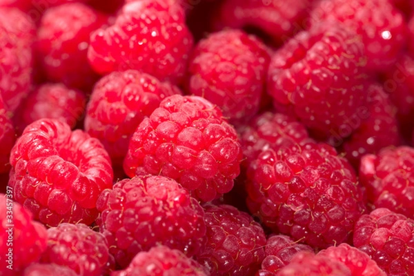 Fototapeta raspberries