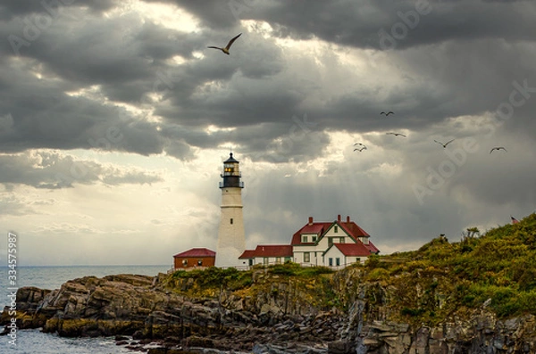 Obraz Leuchtturm in Maine mit Möwen 