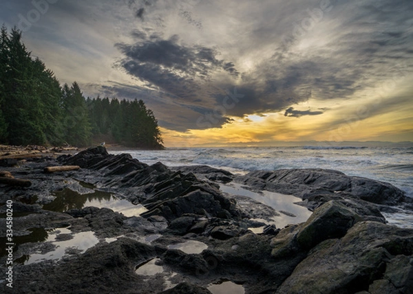 Obraz Botanical Beach