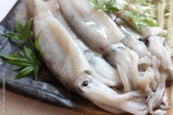 Fototapeta 青森県産ムギイカ