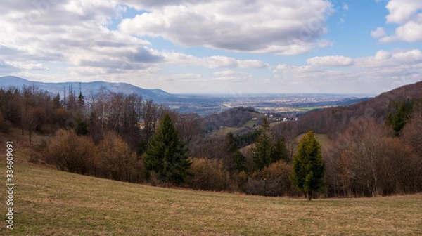 Fototapeta Meadow in mountains with forest and mountain peaks in background, Poland Beskidy