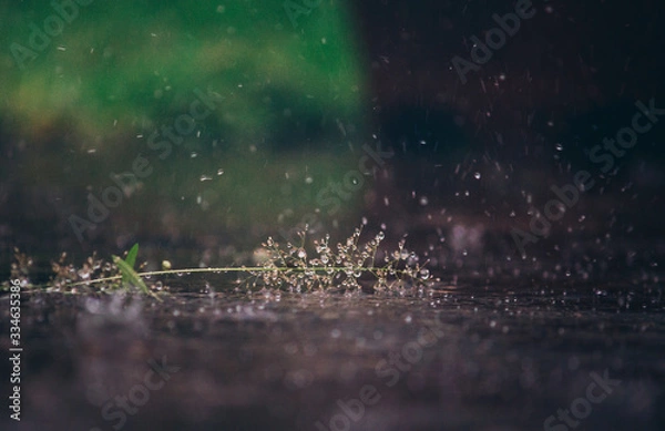 Fototapeta Rainy Day