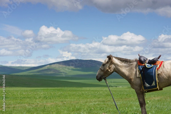 Obraz 몽골 초원의 말