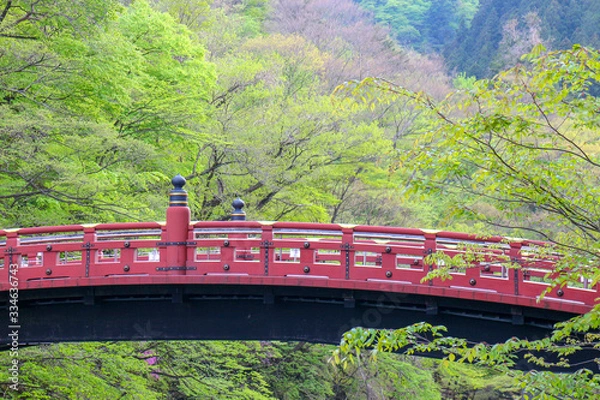Obraz Red bridge in Japan.