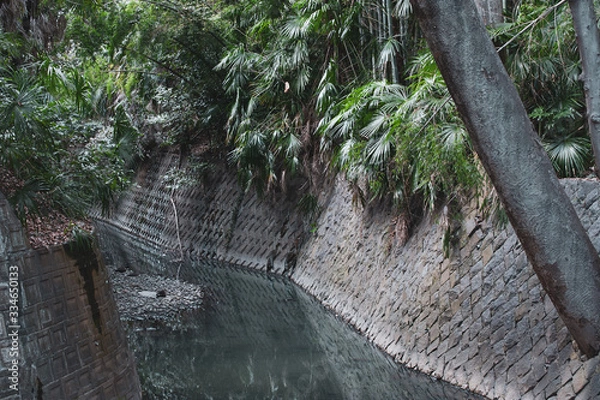 Fototapeta 都会のジャングル