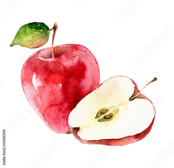 Obraz Watercolor vector apples on white background
