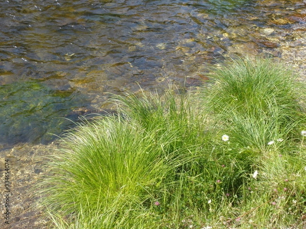 Obraz OLYMPUS DIGITAL CAMERA