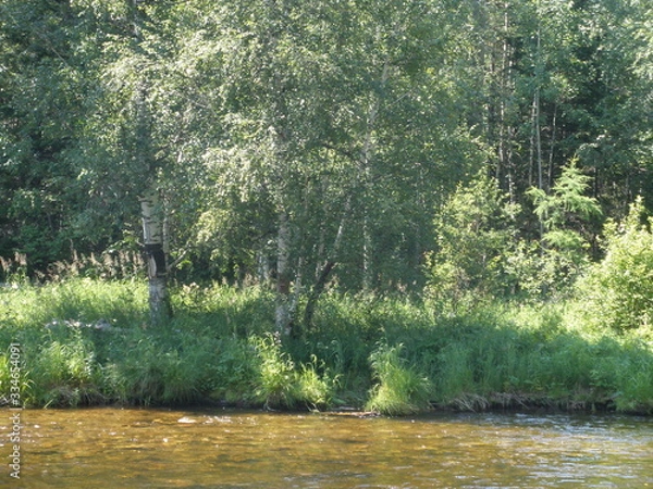 Obraz OLYMPUS DIGITAL CAMERA