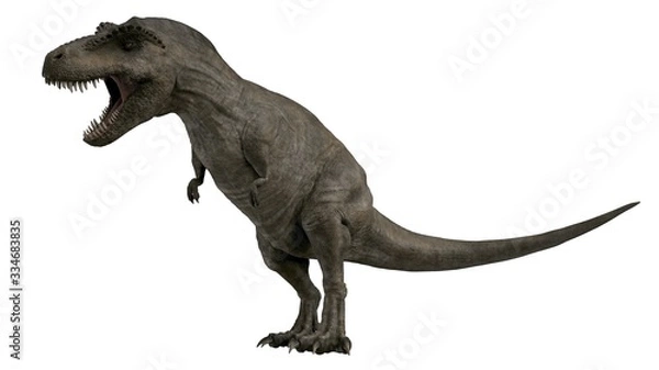 Fototapeta T-rex tyrannosaurus rex renderowany w 3D