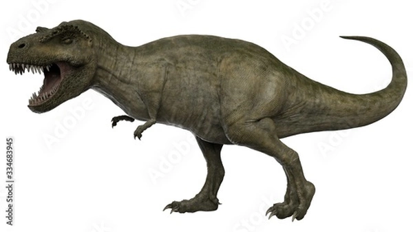 Fototapeta 3d rendered t-rex tyrannosaurus rex