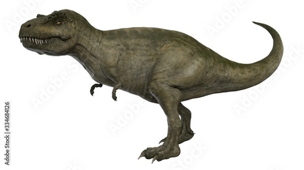 Fototapeta 3d rendered t-rex tyrannosaurus rex