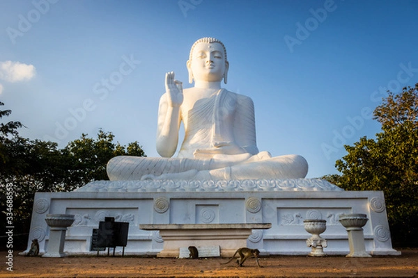 Fototapeta Bouddha