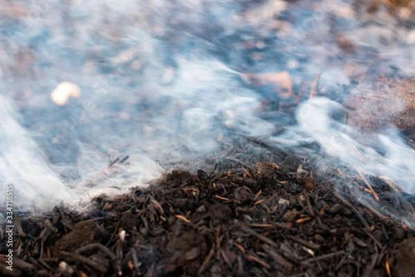 Fototapeta gray smoke when burning grass