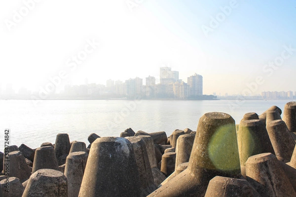 Obraz city skyline view