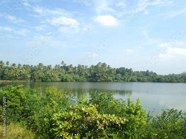 Obraz lake in the forest