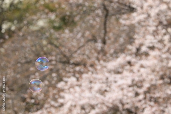 Obraz シャボン玉