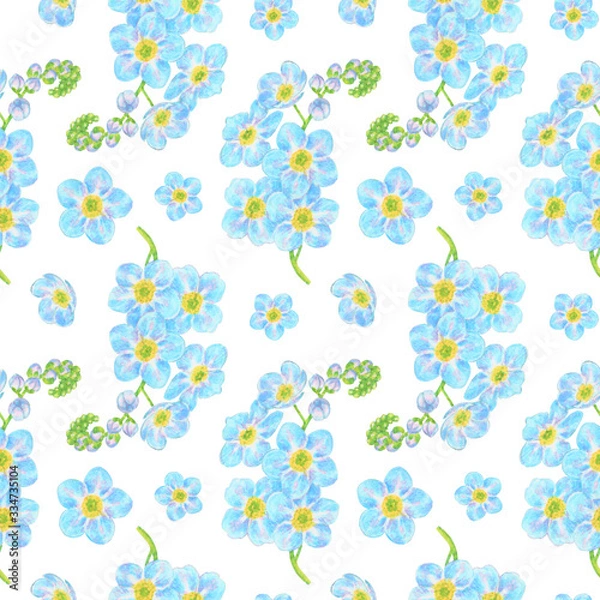 Obraz Seamless Forget-me-not flowers pattern in white background