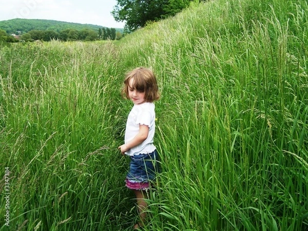 Obraz in the country