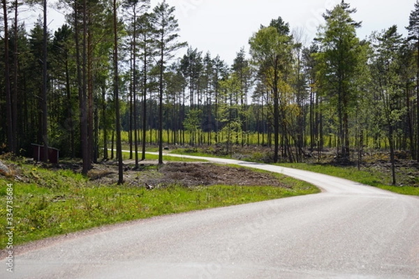 Obraz Road into the wild