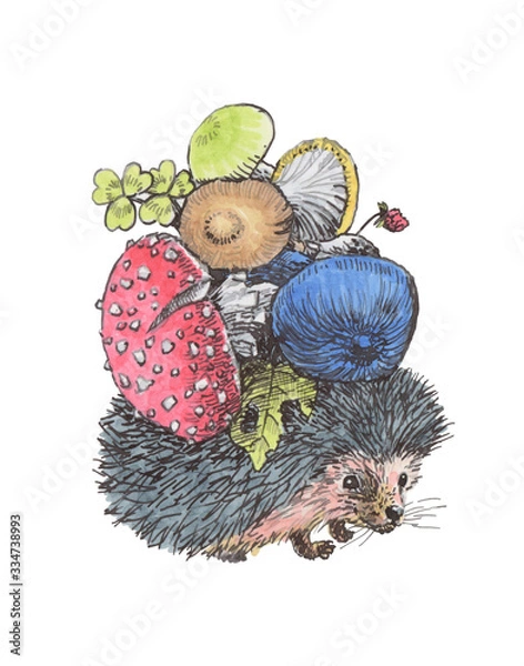 Obraz Сute hedgehog drags a bunch of mushrooms