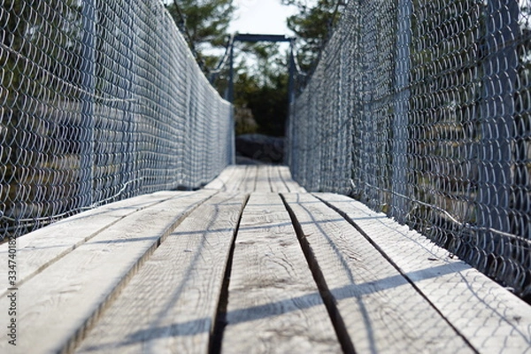 Obraz Bridge in nature