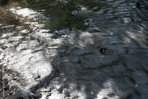 Obraz flowing stream of freshwater