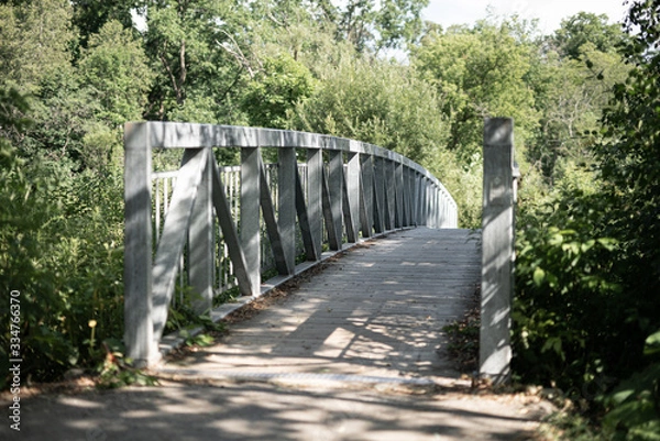 Obraz Boardwalk bridge in nature