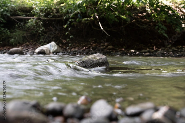 Obraz stream in the forest