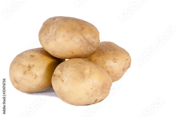 Obraz potatoes