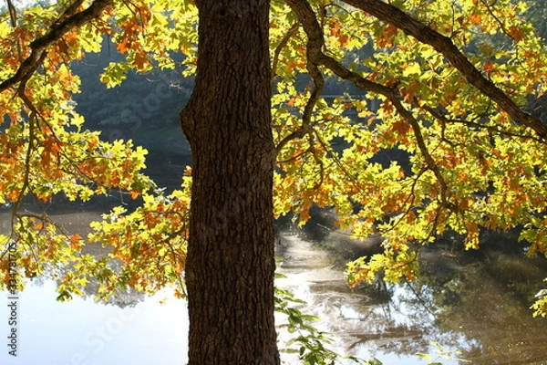 Obraz Fall on the Lake Dam