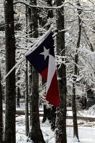 Obraz Texas Flag in Snow