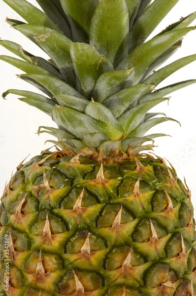 Fototapeta ananas