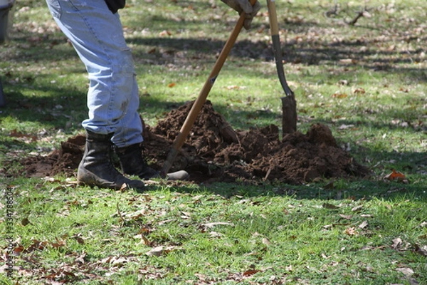 Obraz Digging the garden