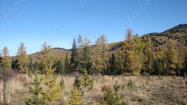 Obraz landscape in the mountains
