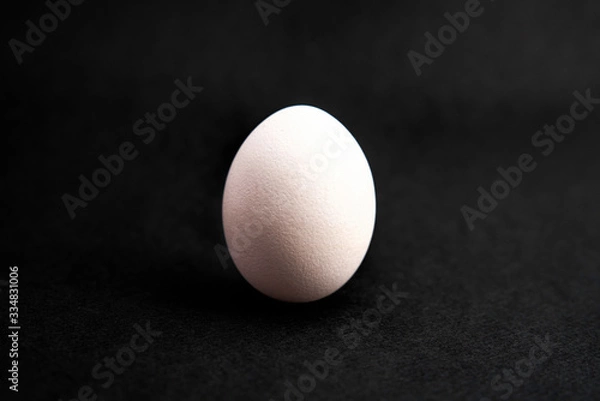 Fototapeta Single white egg on black background