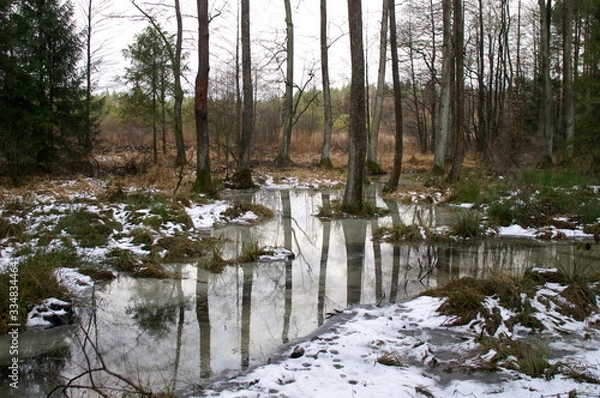Obraz bagno