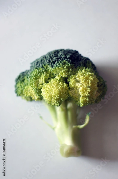 Fototapeta broccoli