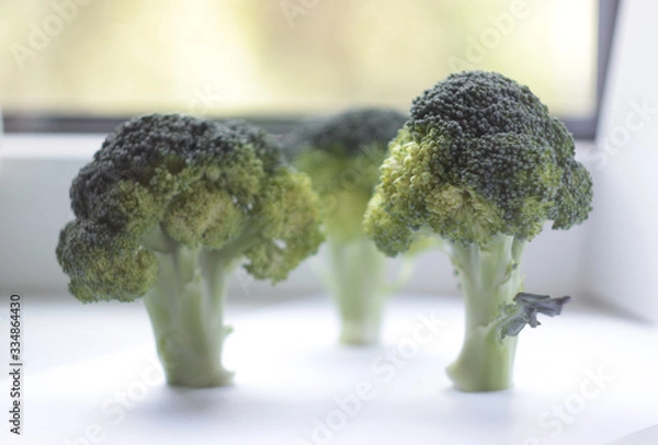 Fototapeta broccoli on white background