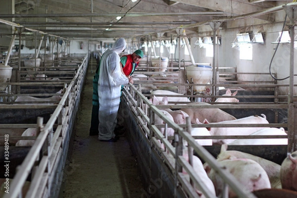 Obraz Three Farm Workers