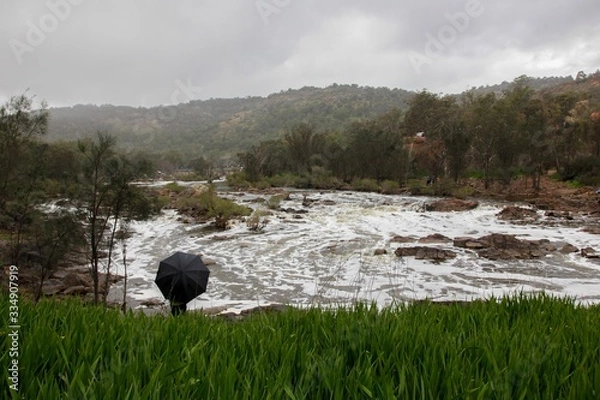 Fototapeta Stood in the rain watching the river flow