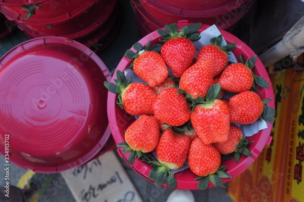 Fototapeta OLYMPUS DIGITAL CAMERA