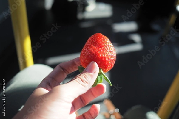 Obraz OLYMPUS DIGITAL CAMERA