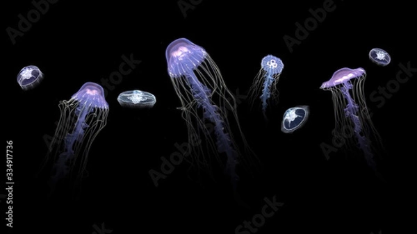 Obraz White jellyfish glow and float in the dark