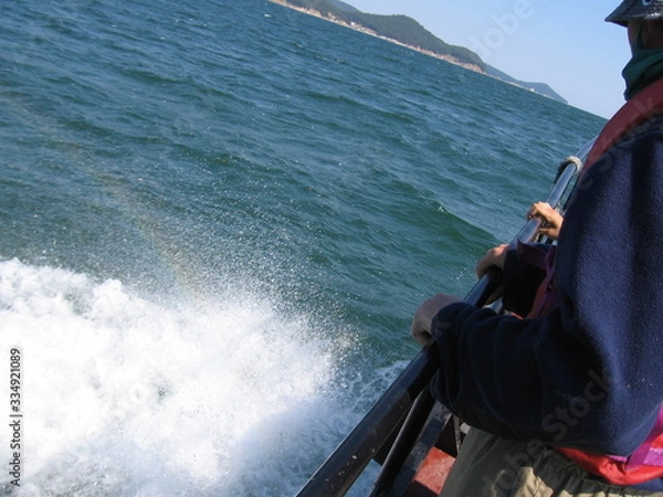 Obraz Баркас на полном ходу