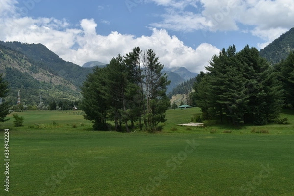Obraz landscape with trees