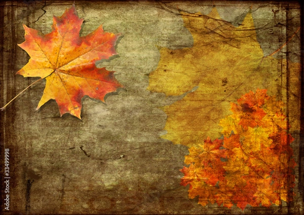 Obraz red sheets maple grunge